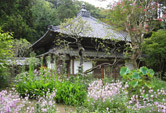 Jouchiji Pic.