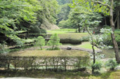 Meigetsuin Pic.