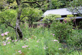 Toukeiji Pic.
