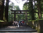 Nikko Pic.