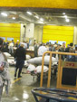Tuna Auction Pic.