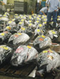 Tuna Auction Pic.