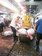 Tuna Auction Pic.