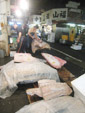 Tuna Auction Pic.