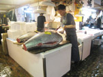 Tuna Auction Pic.