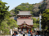 Tsurugaoka Hachimangu Shrine Pic.