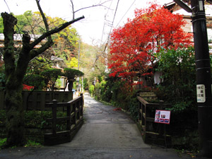 Kamakura Walk Pic.