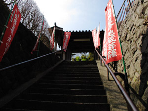 Kamakura Walk Pic.