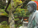 A Statue of Buddha Pic.