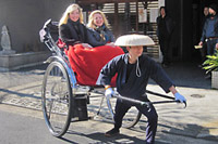 Rickshaw Tour Pic.