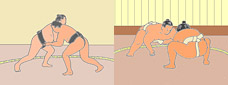 Sumo Image Pic.