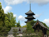 Toji-Temple Pic.