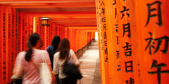 Fushimi-Inari Shrine Pic.