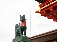 Fushimi-inari Shrine Pic.