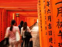 Fushimi-inari Shrine Pic.