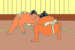 Sumo Pic.