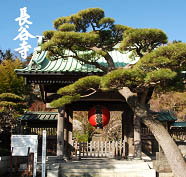 長谷寺画像