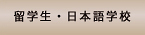 留学生・日本語学校ボタン