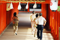 Itsukushima Shrine Pic.