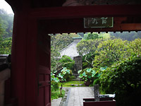 Kosokuji Temple Pic.