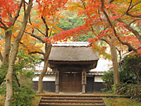 居士林画像
