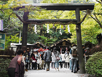 野宮神社画像