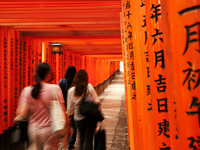 Torii Gates Pic.