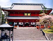 Nikko Pic.