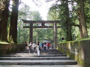Nikko Pic.
